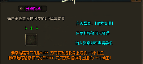 ��紫�棺ǿ����ʯ��߼�װ������ָ��